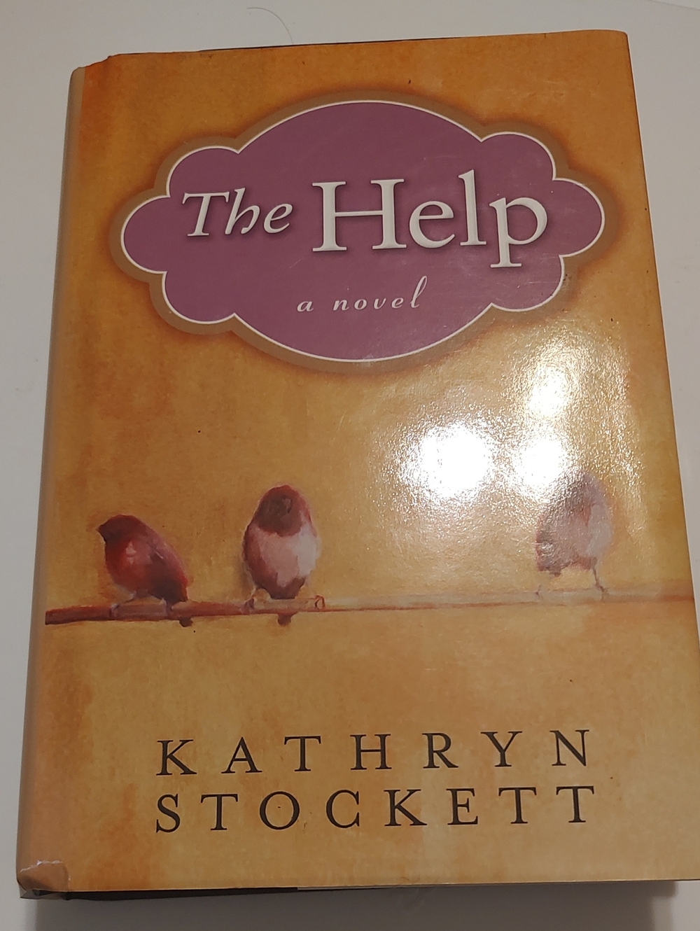 The Help a novel by Kathryn Stockett Hardback book 2009